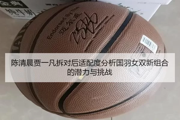 陈清晨贾一凡拆对后适配度分析国羽女双新组合的潜力与挑战